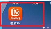 芒果TV如何设置允许芒果TV展现活跃状态 芒果TV设置允许芒果TV展现活跃状态的方法
